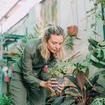 The Complete Beginner’s Guide to Growing and Caring for Houseplants Covers Everything