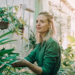 How to Create a Stunning Indoor Garden Tips for Every Home and Budget Healthy & Thriving