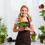 From Seed to Sprout A Step-by-Step Guide to Growing Your Own Plants at Home