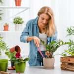 The Science of Happy Plants Understanding Light, Water, and Soil for Optimal Growth