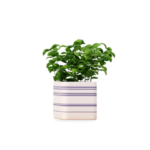 Ceramic Herb Planter