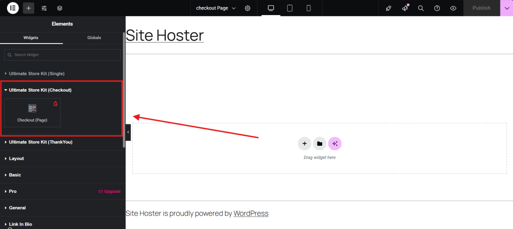 checkout page widget