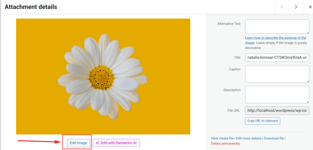 Click the Edit Image button below the image preview.