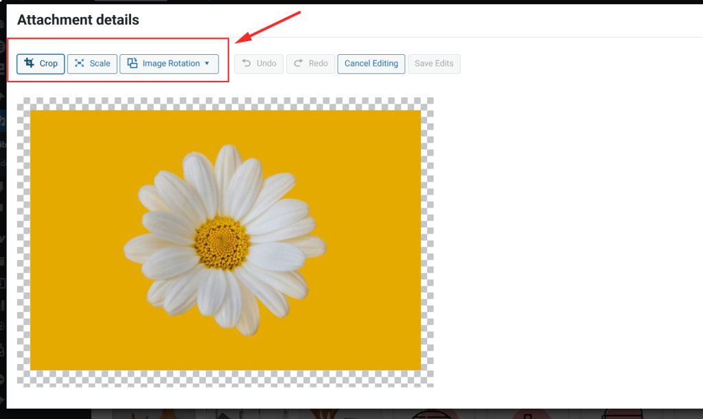 The image editor opens with a toolbar above the image.
