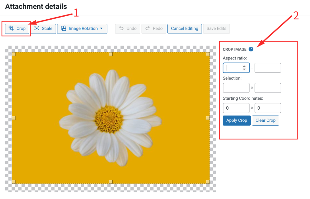 Crop: Draw a selection box over the area you want to keep, then click the Crop button in the toolbar. You can type exact pixel dimensions in the Aspect Ratio and Selection fields for precision.