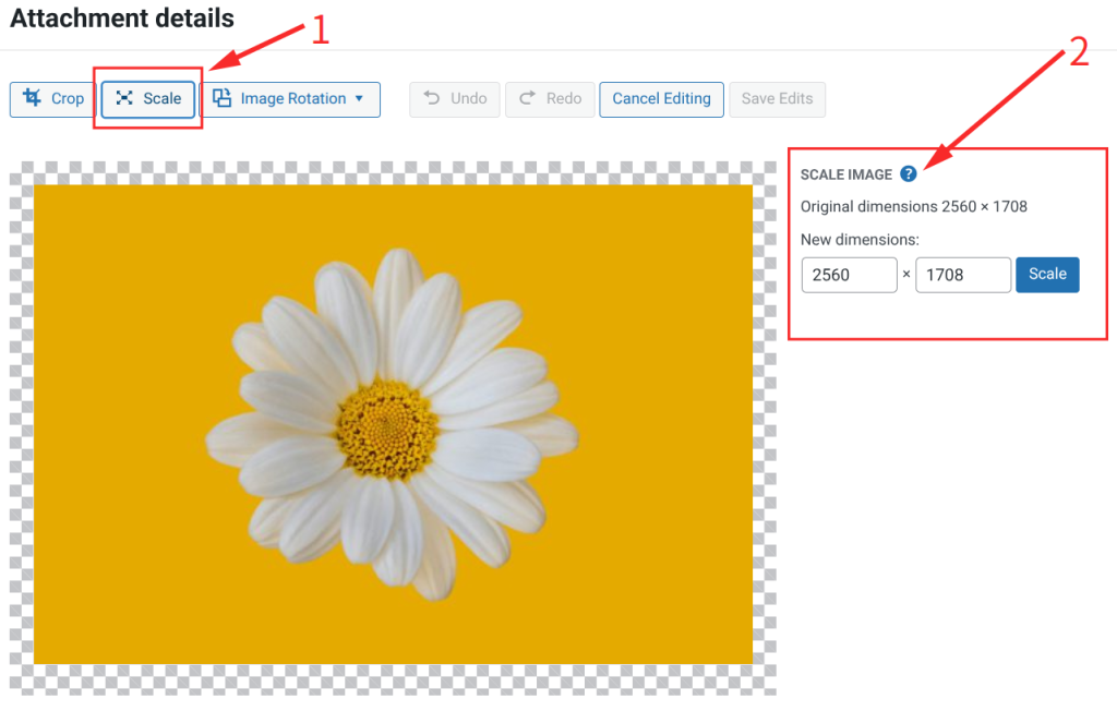Scale: Enter a target width or height in the Scale Image section. WordPress automatically preserves the original aspect ratio.