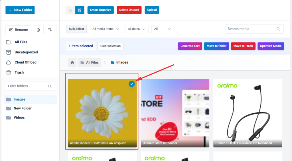 To move files into a folder, select one or more files in the right panel by clicking their checkboxes.