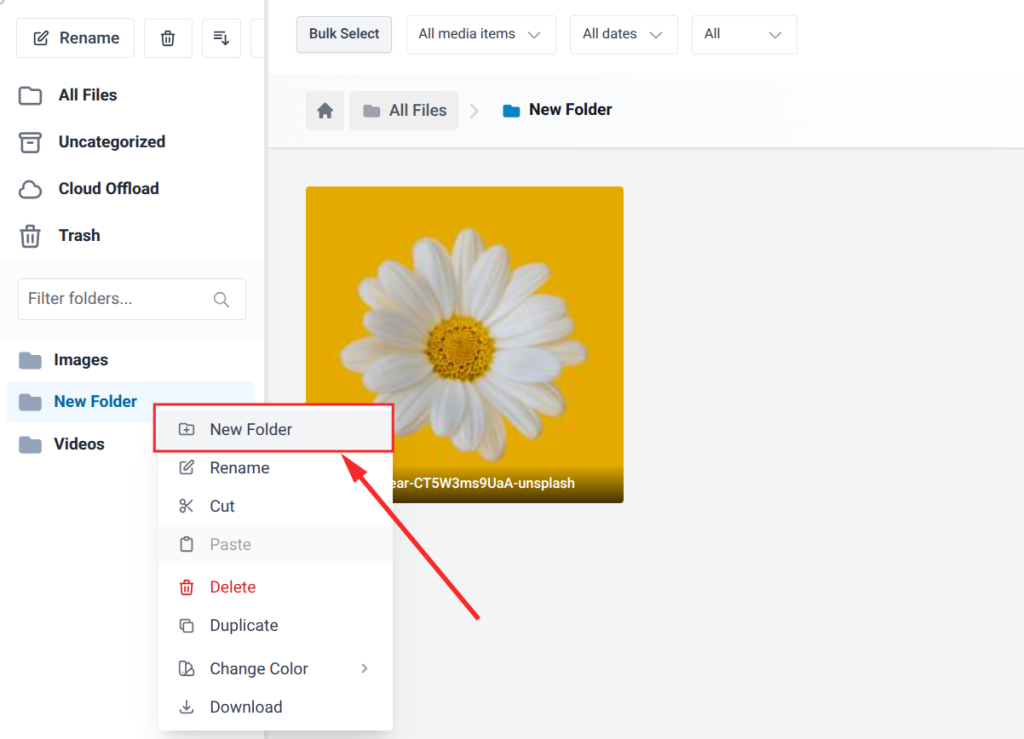 To create a subfolder, right-click on an existing folder and select New Folder. 