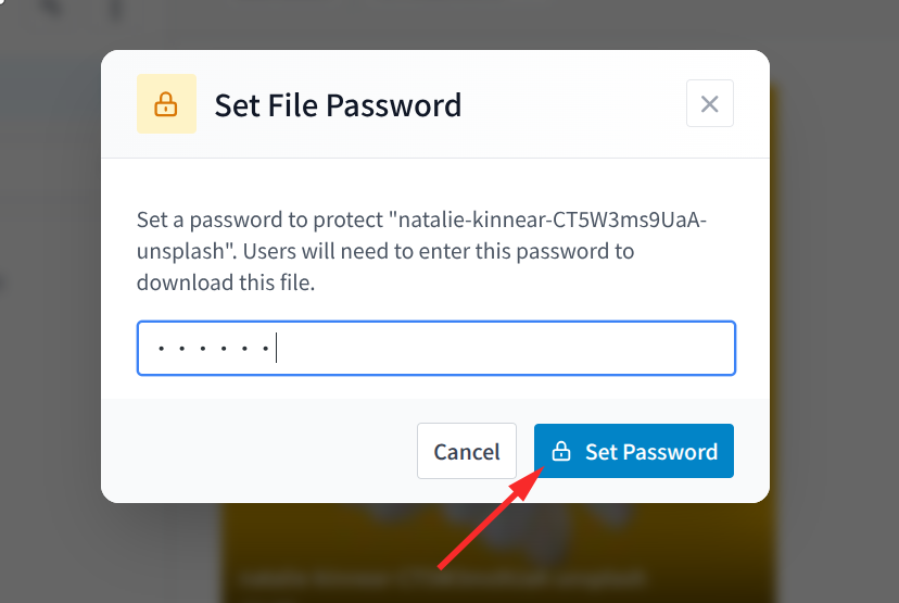 After clicking the lock icon, a pop-up will appear to enter the password, then click "Set Password."